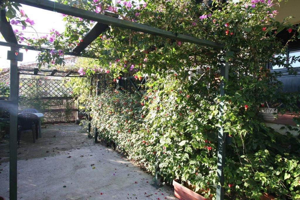 הוילה Ruilobuca La Casa De Gene מראה חיצוני תמונה