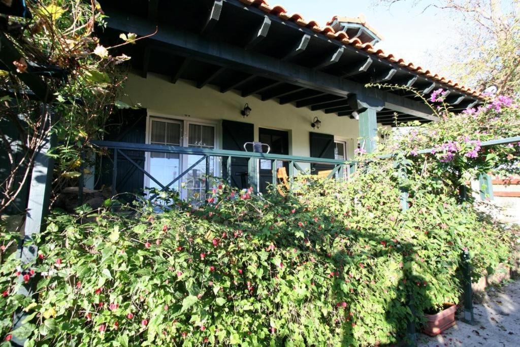 הוילה Ruilobuca La Casa De Gene מראה חיצוני תמונה